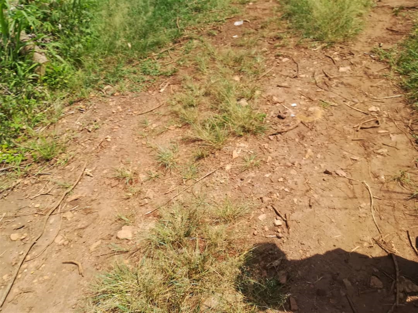 Residential Land for sale in Nsambwe Mukono