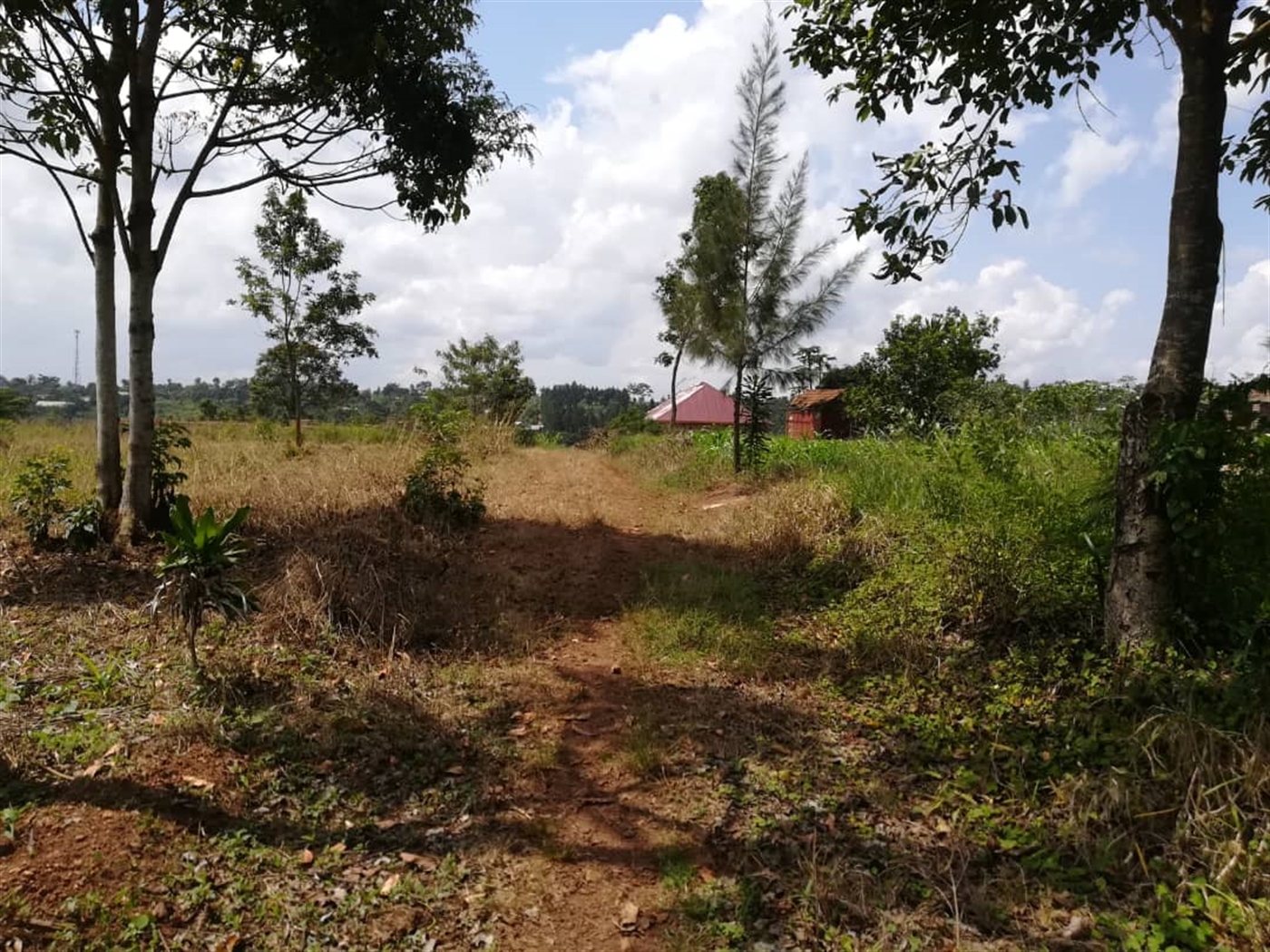 Residential Land for sale in Nsambwe Mukono