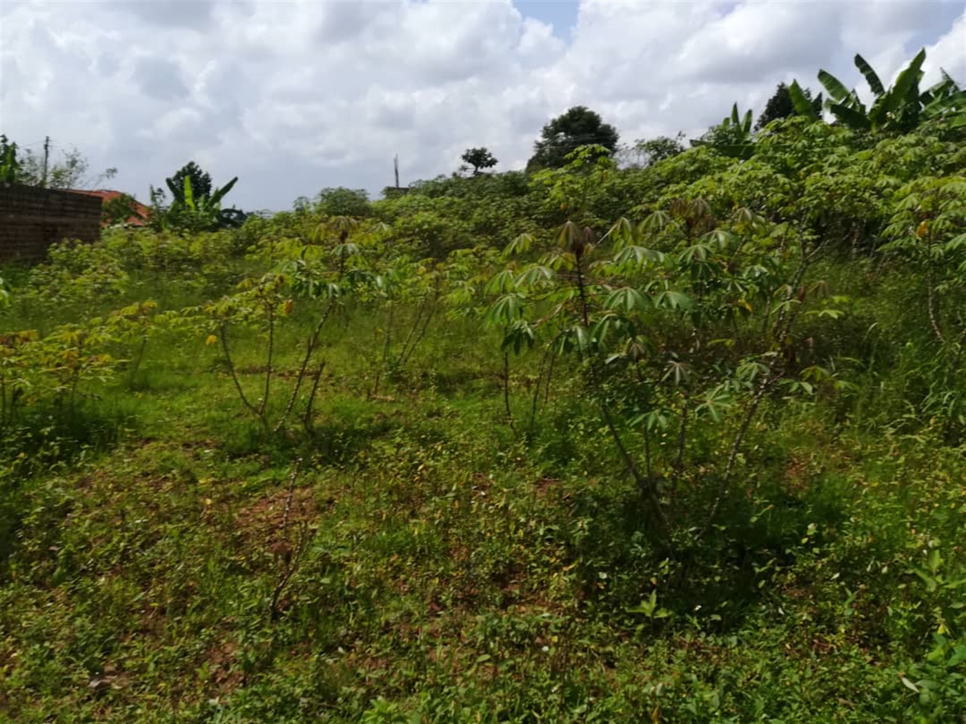 Residential Land for sale in Nsambwe Mukono