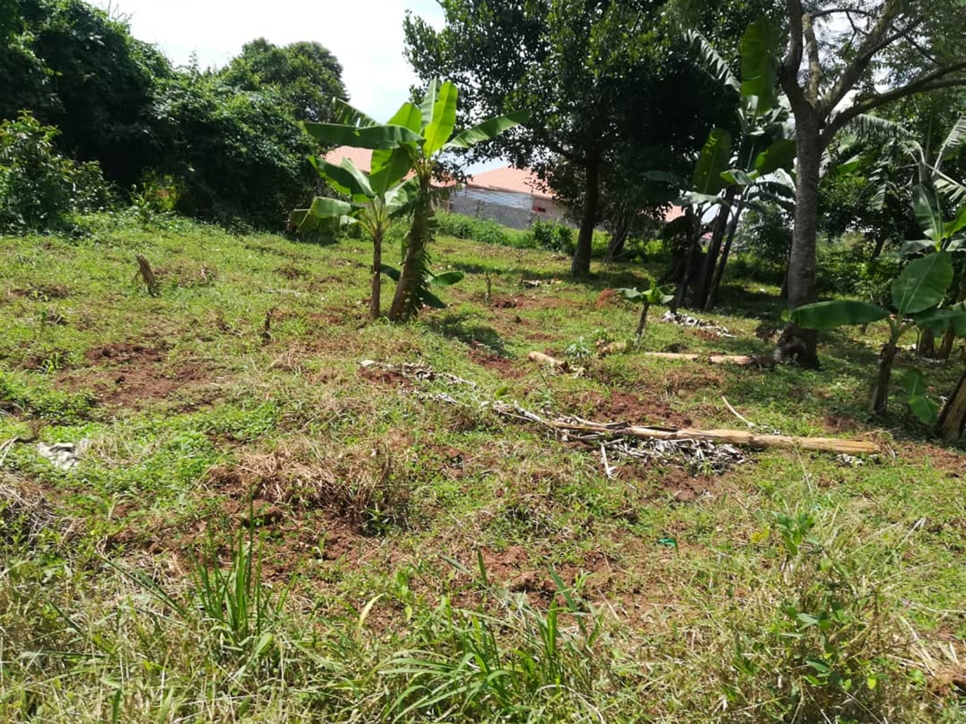 Residential Land for sale in Nsambwe Mukono