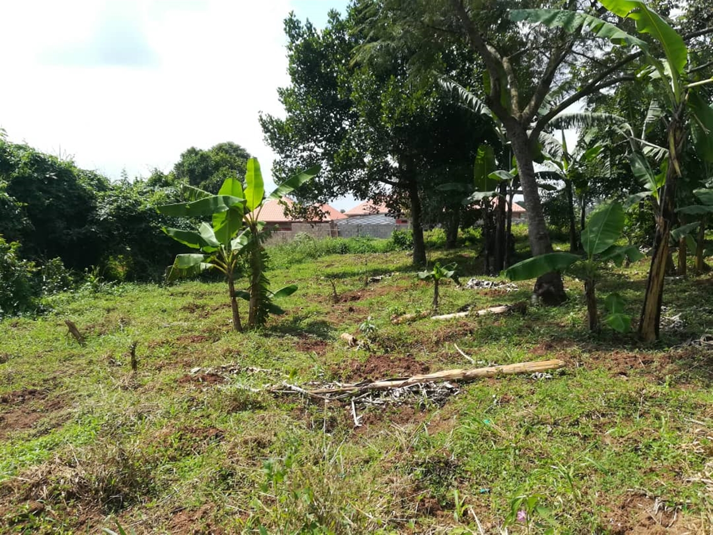 Residential Land for sale in Nsambwe Mukono