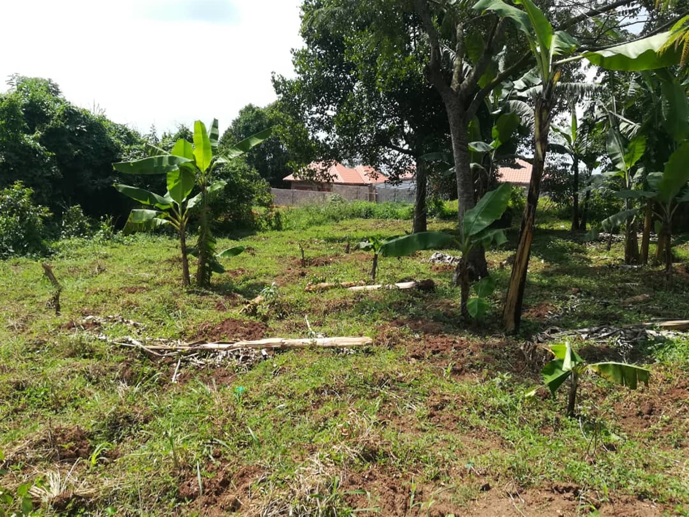 Residential Land for sale in Nsambwe Mukono