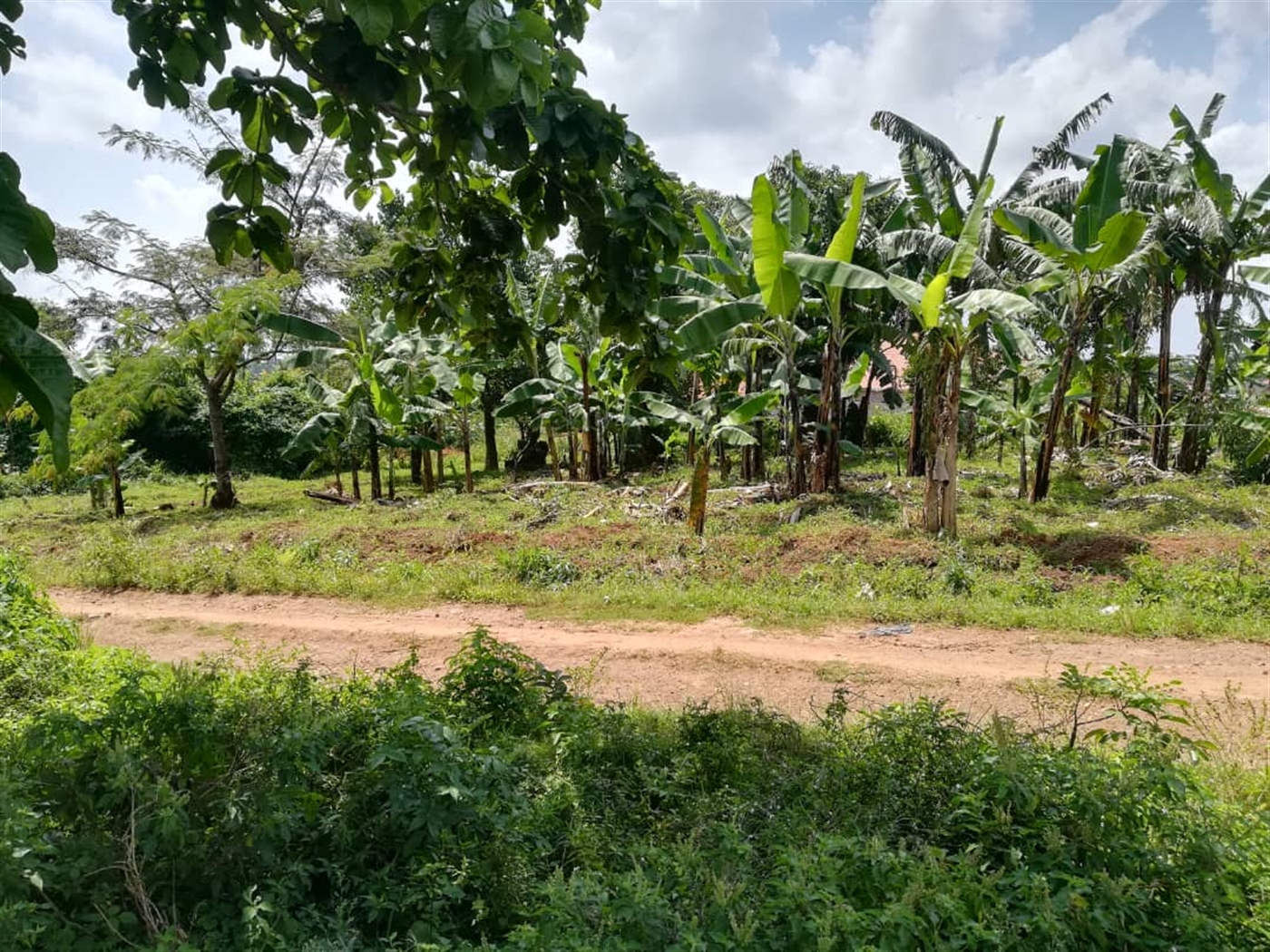 Residential Land for sale in Nsambwe Mukono