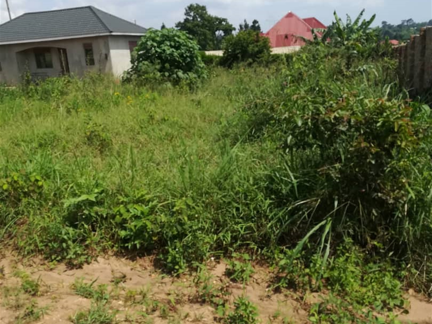 Residential Land for sale in Nsambwe Mukono