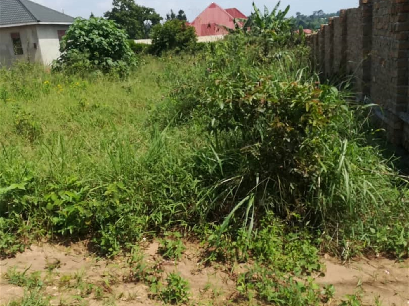 Residential Land for sale in Nsambwe Mukono