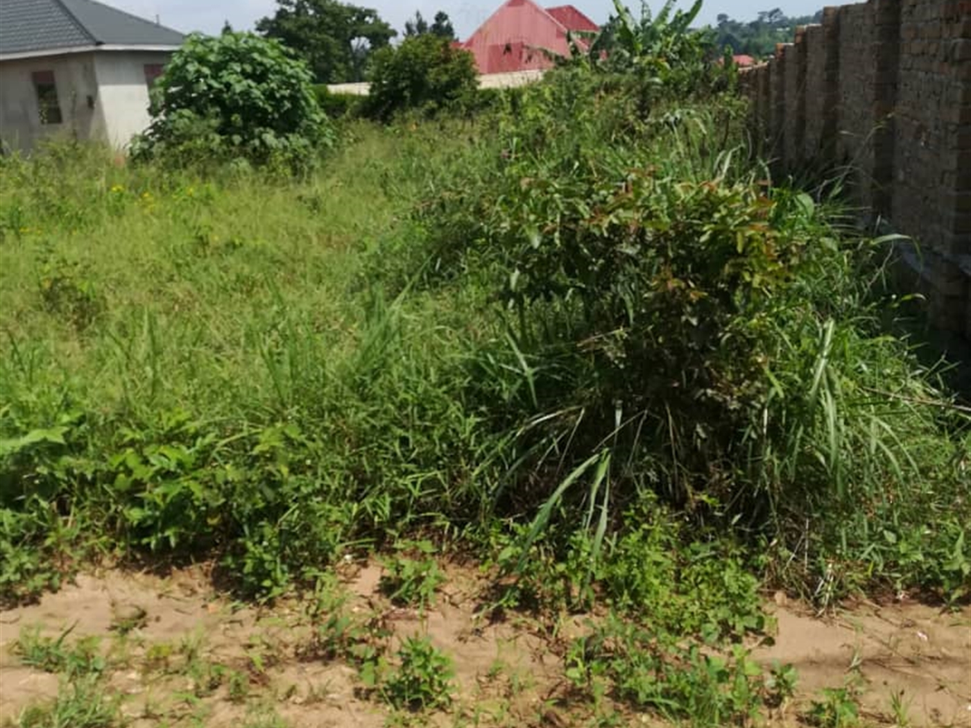 Residential Land for sale in Nsambwe Mukono