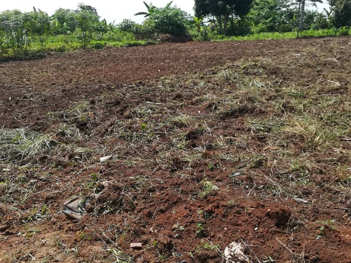 Residential Land for sale in Nsambwe Mukono