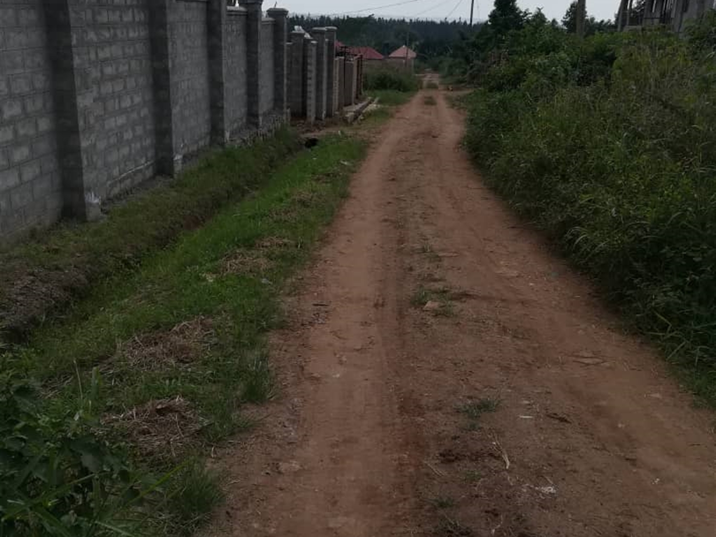 Residential Land for sale in Nsambwe Mukono