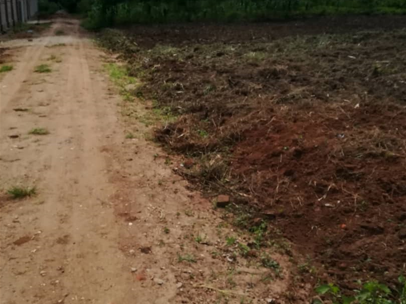 Residential Land for sale in Nsambwe Mukono