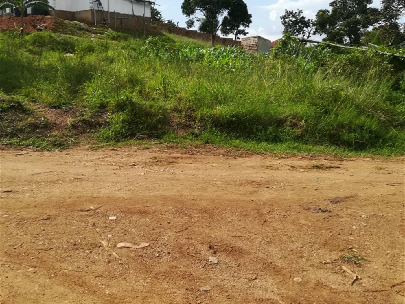 Residential Land for sale in Nsambwe Mukono