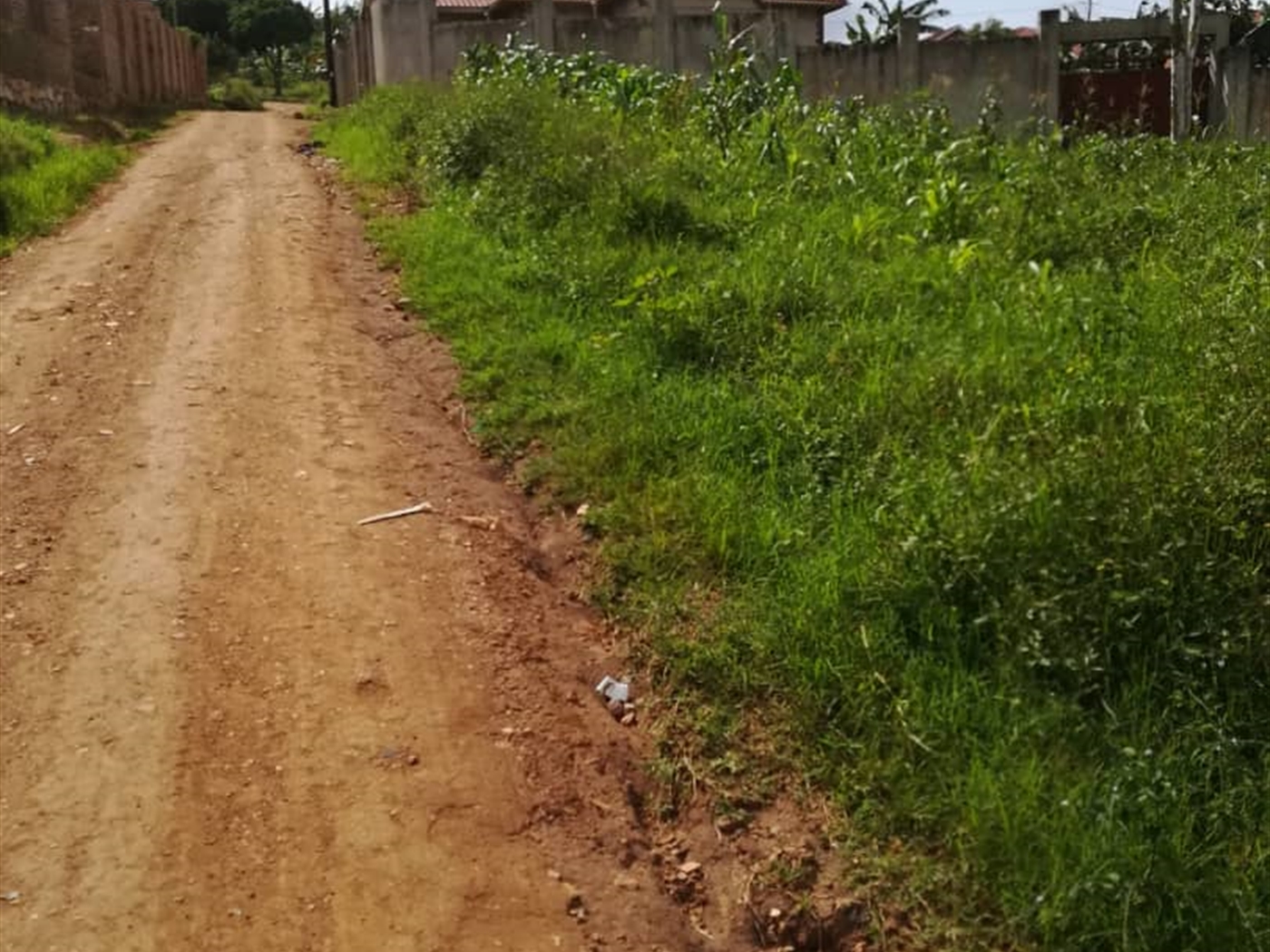 Residential Land for sale in Nsambwe Mukono