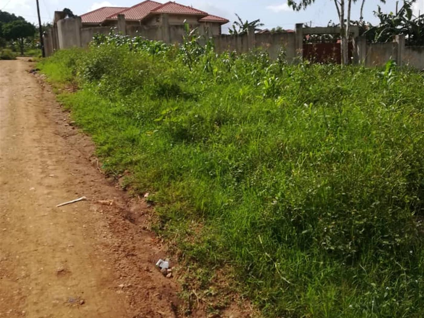 Residential Land for sale in Nsambwe Mukono