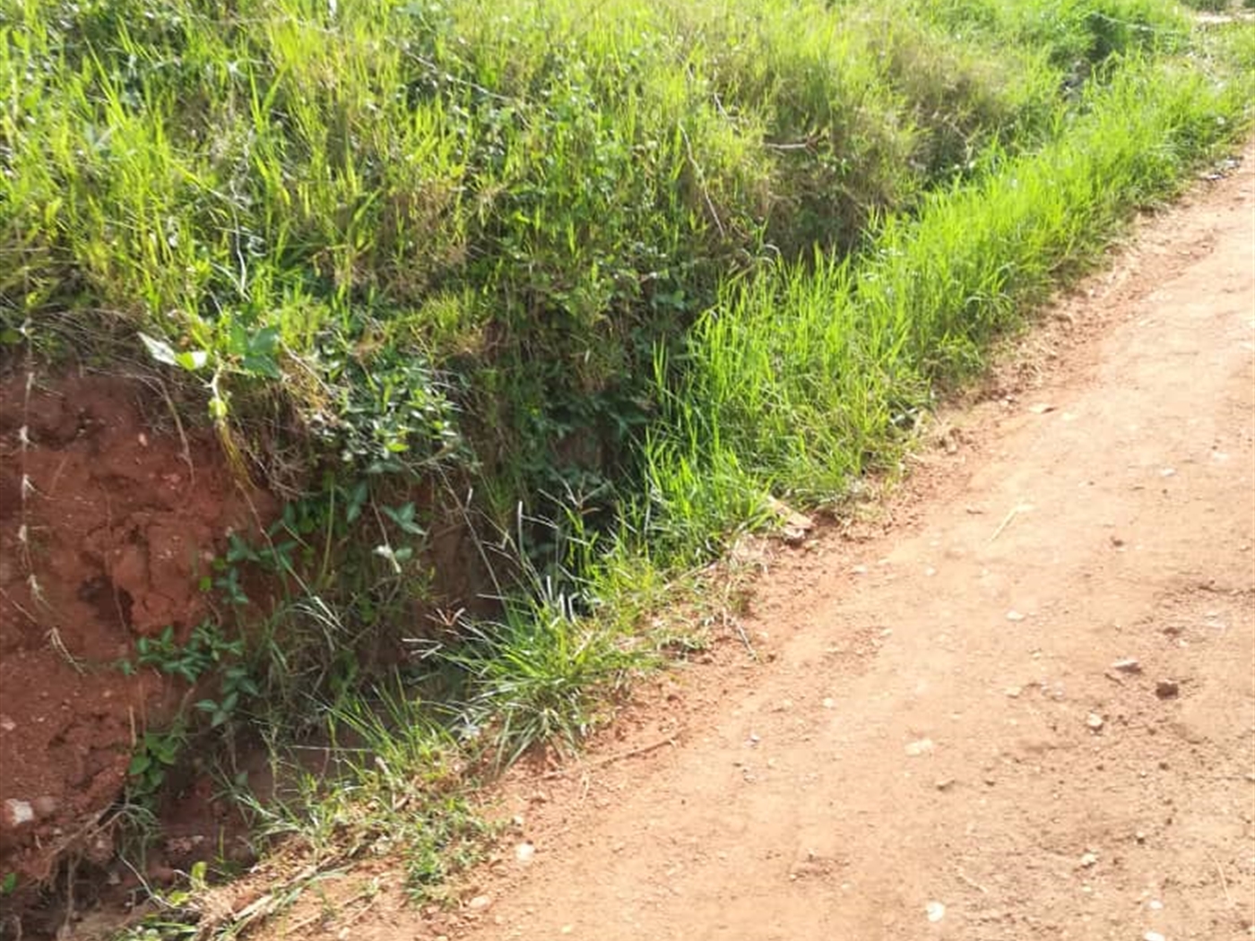 Residential Land for sale in Nsambwe Mukono