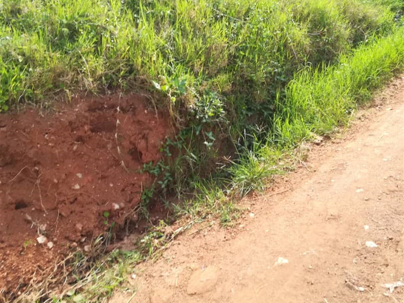 Residential Land for sale in Nsambwe Mukono