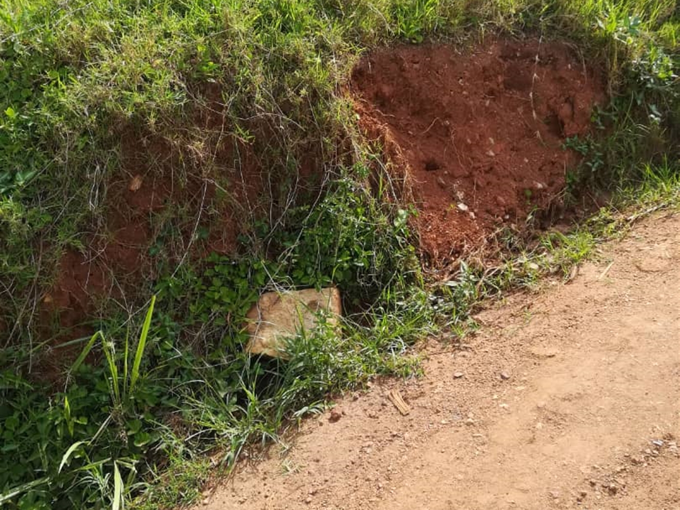 Residential Land for sale in Nsambwe Mukono