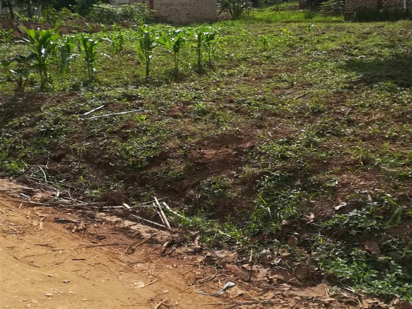 Residential Land for sale in Nsambwe Mukono