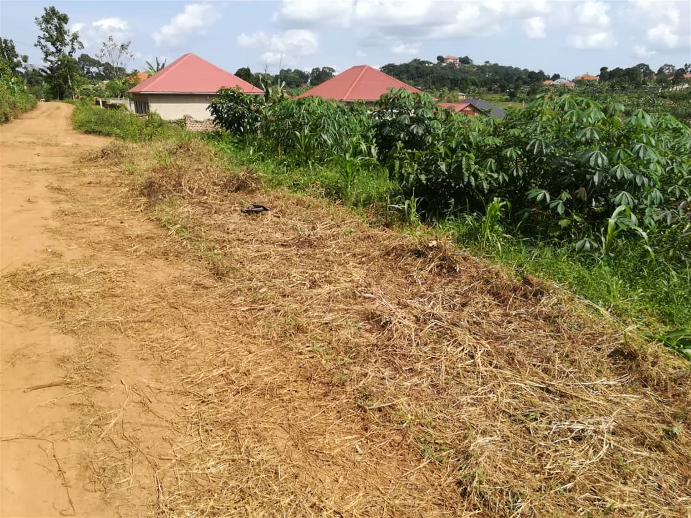 Residential Land for sale in Nsambwe Mukono