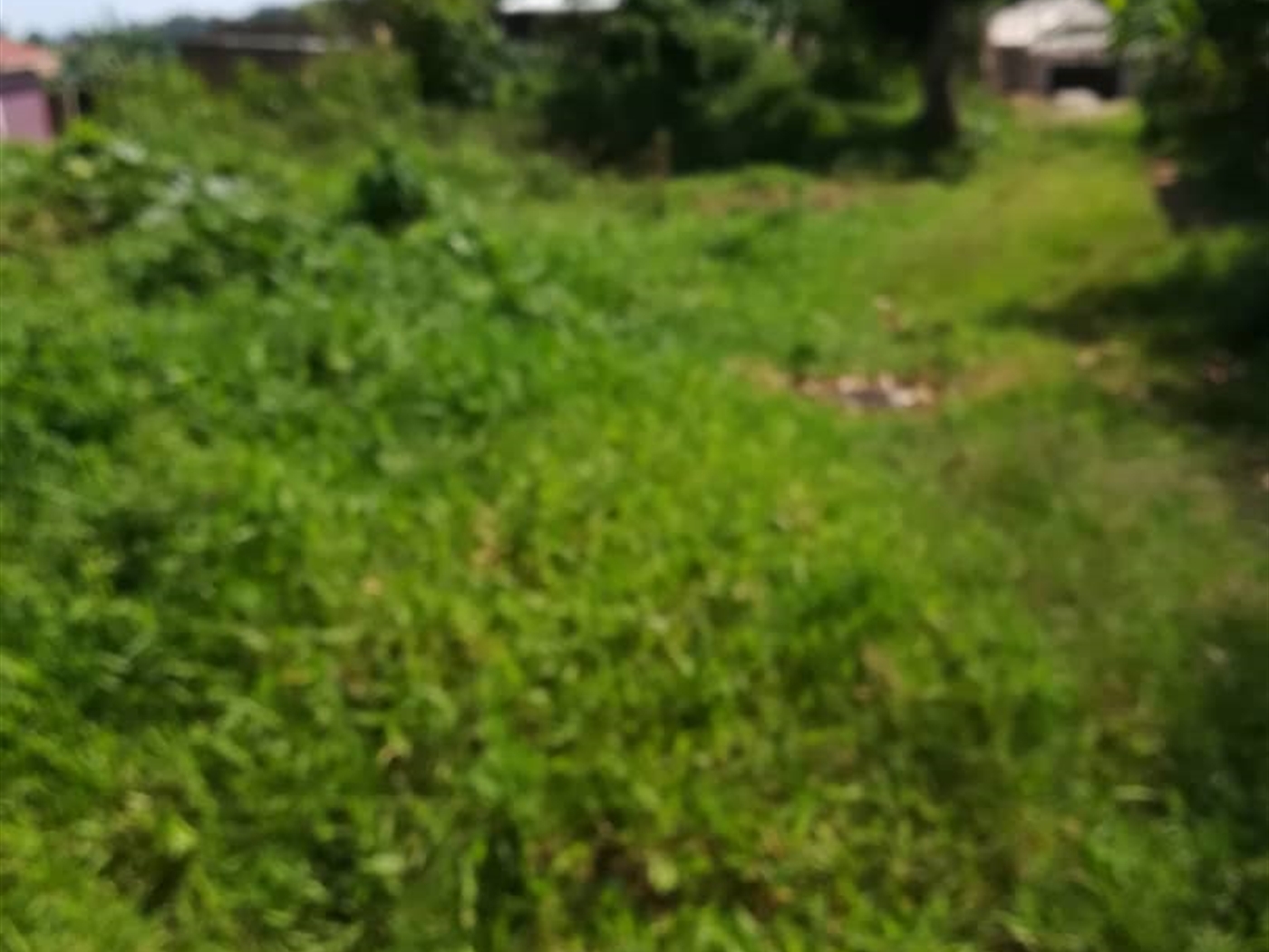 Residential Land for sale in Nsambwe Mukono