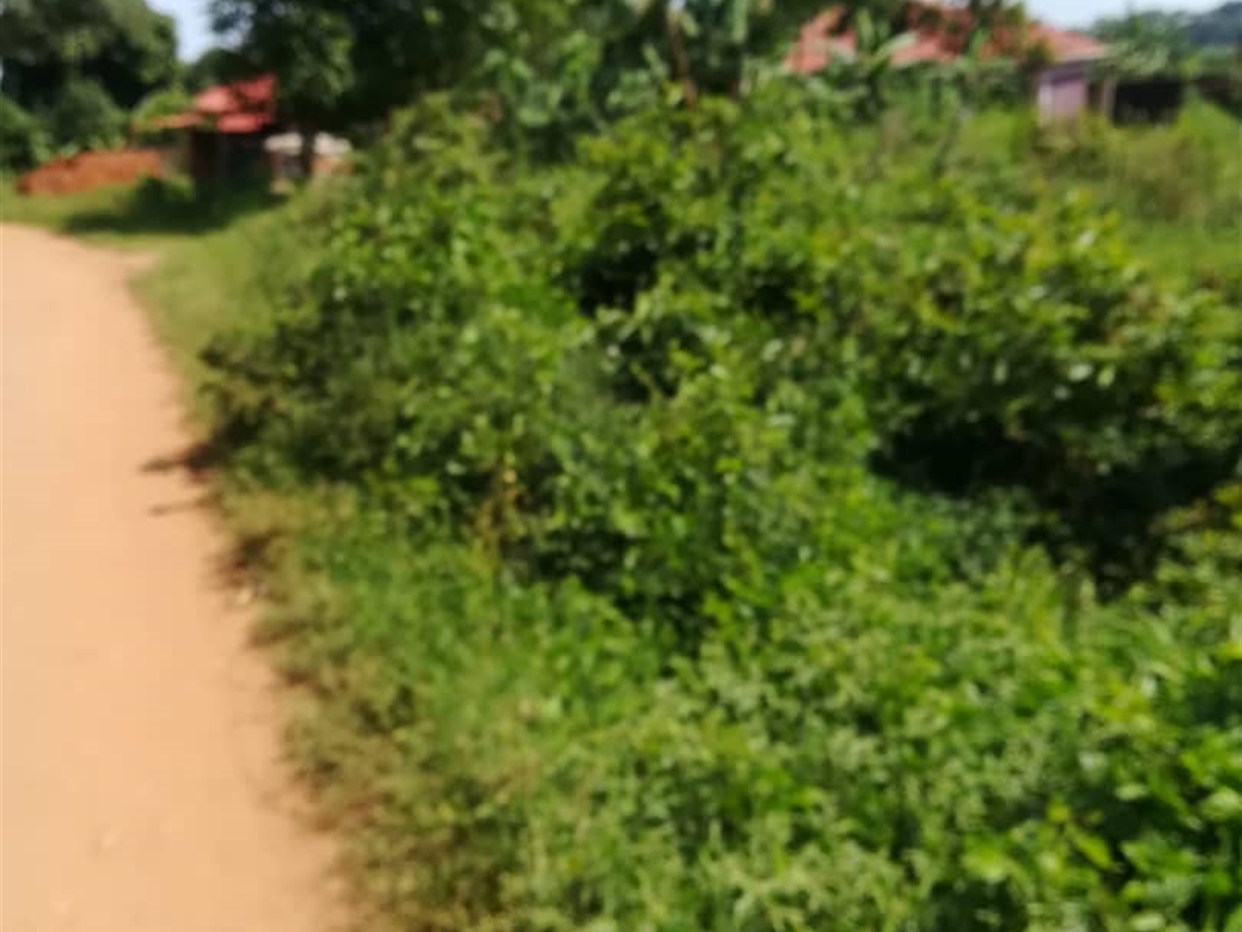 Residential Land for sale in Nsambwe Mukono