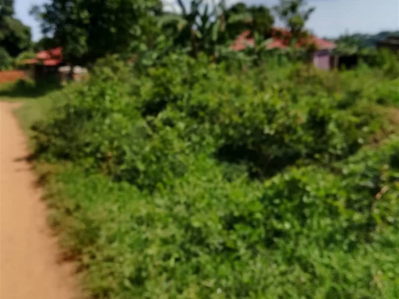 Residential Land for sale in Nsambwe Mukono