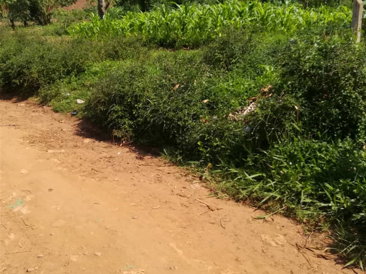 Residential Land for sale in Nsambwe Mukono