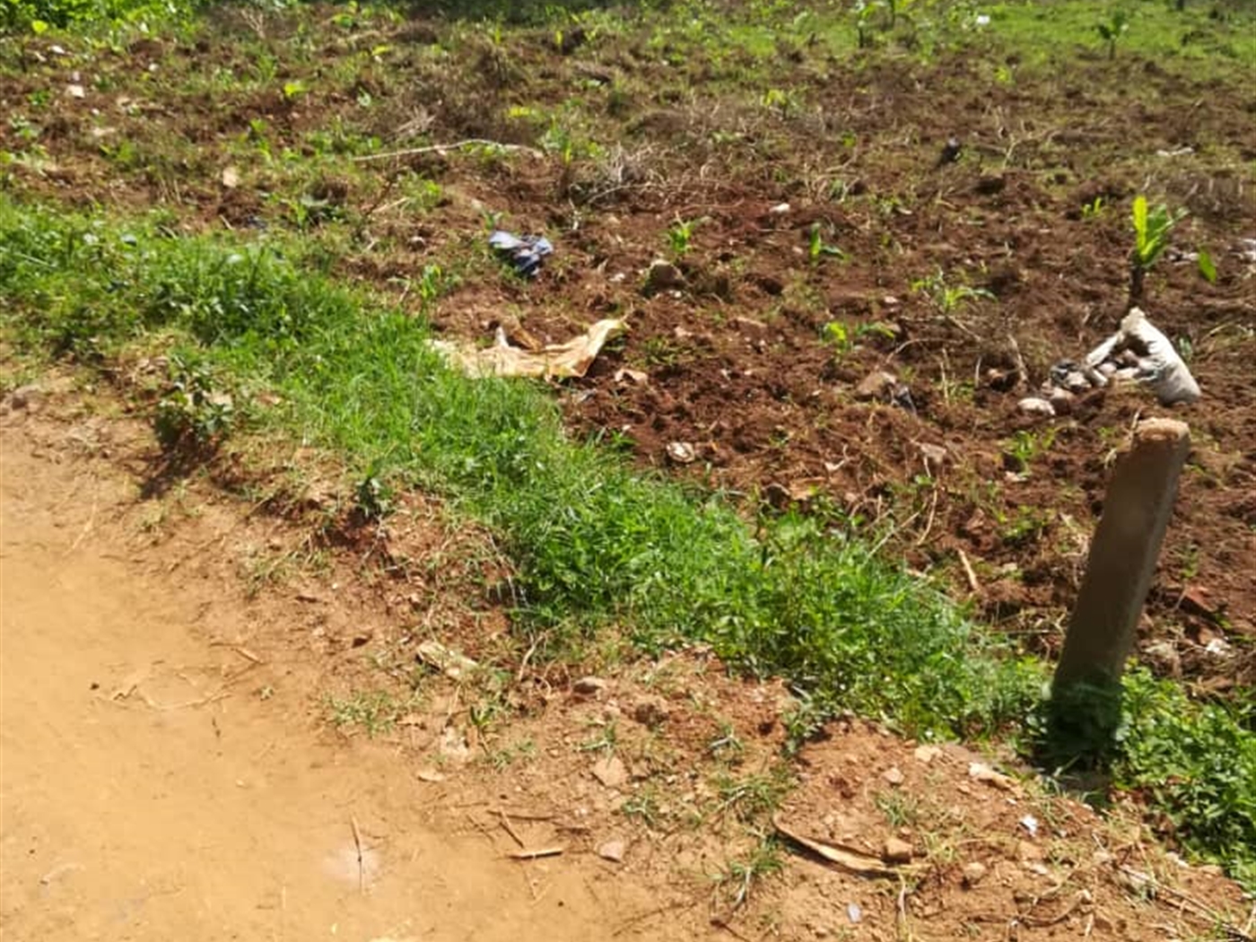 Residential Land for sale in Nsambwe Mukono