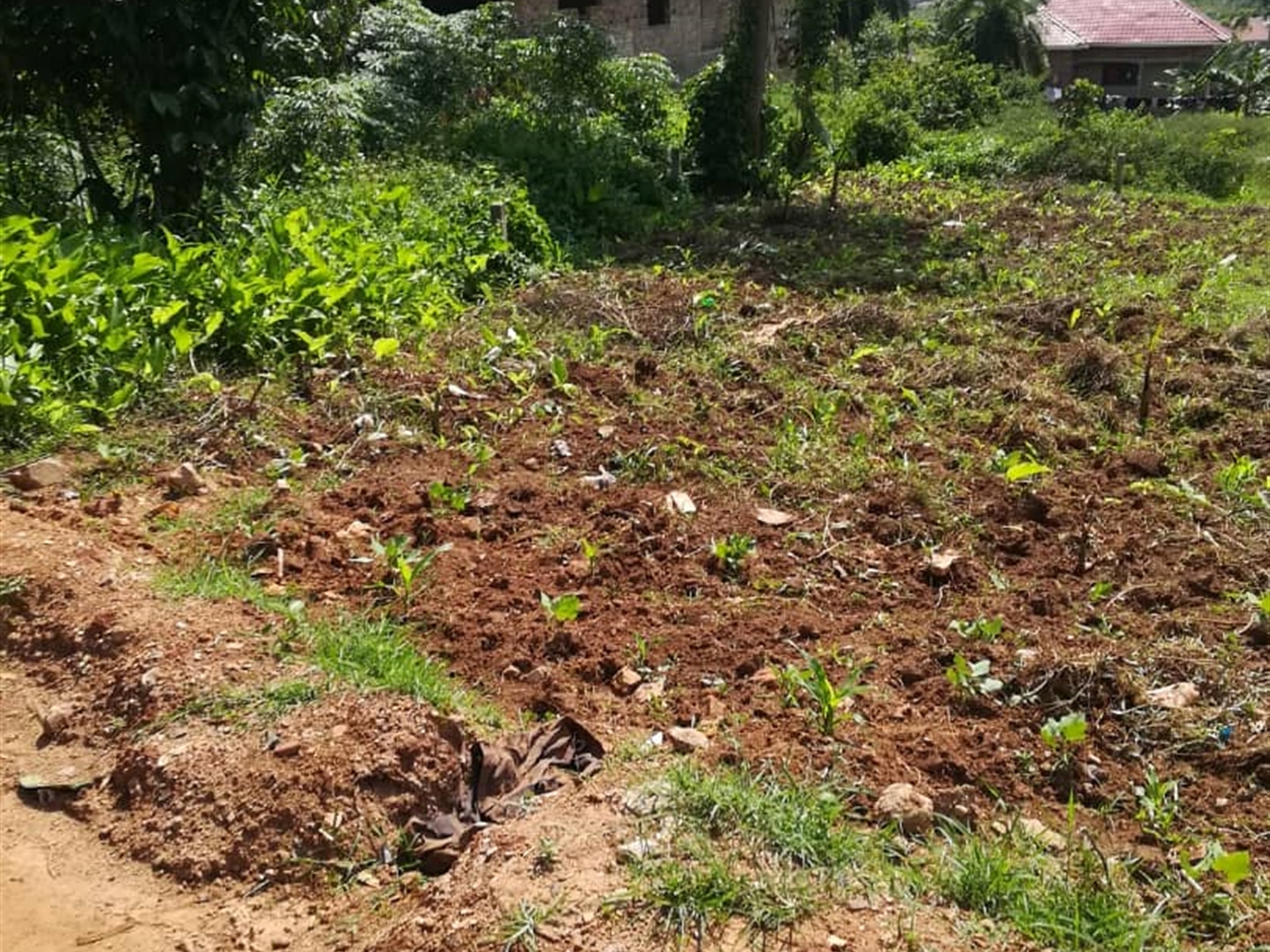 Residential Land for sale in Nsambwe Mukono