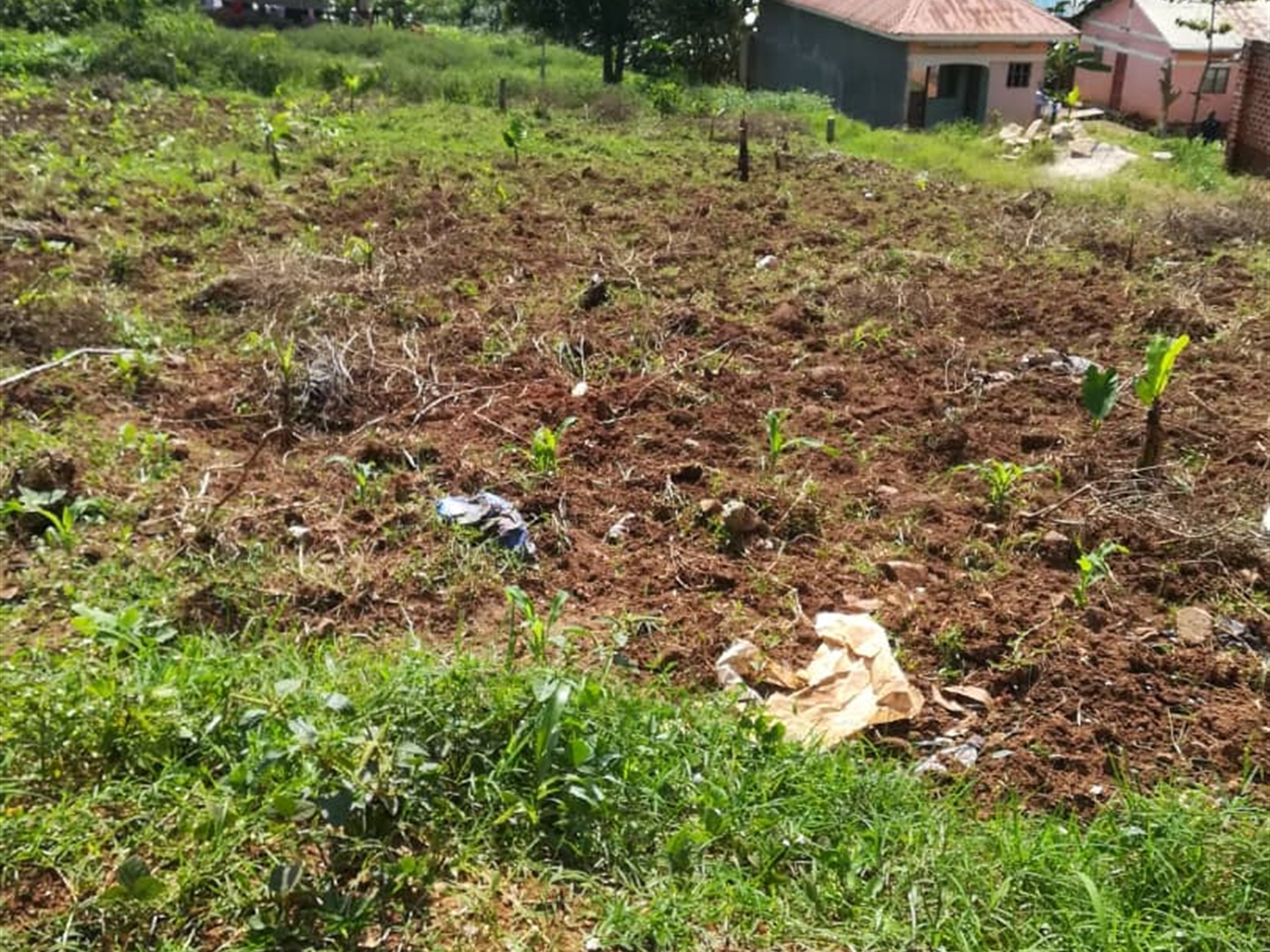 Residential Land for sale in Nsambwe Mukono