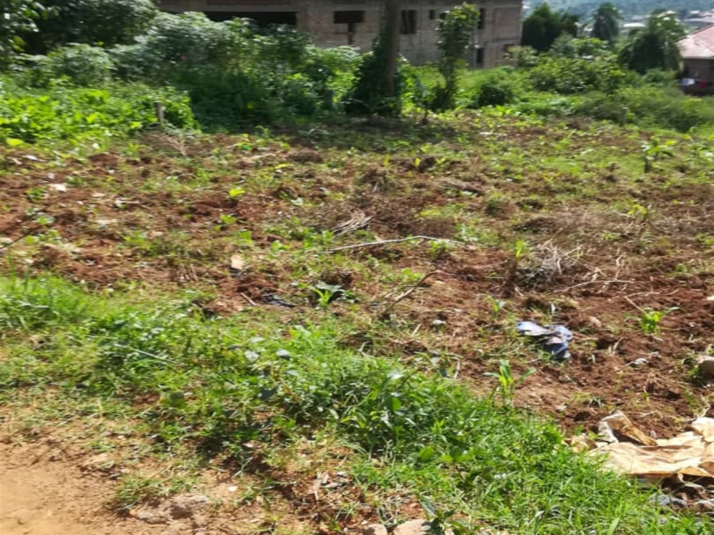 Residential Land for sale in Nsambwe Mukono