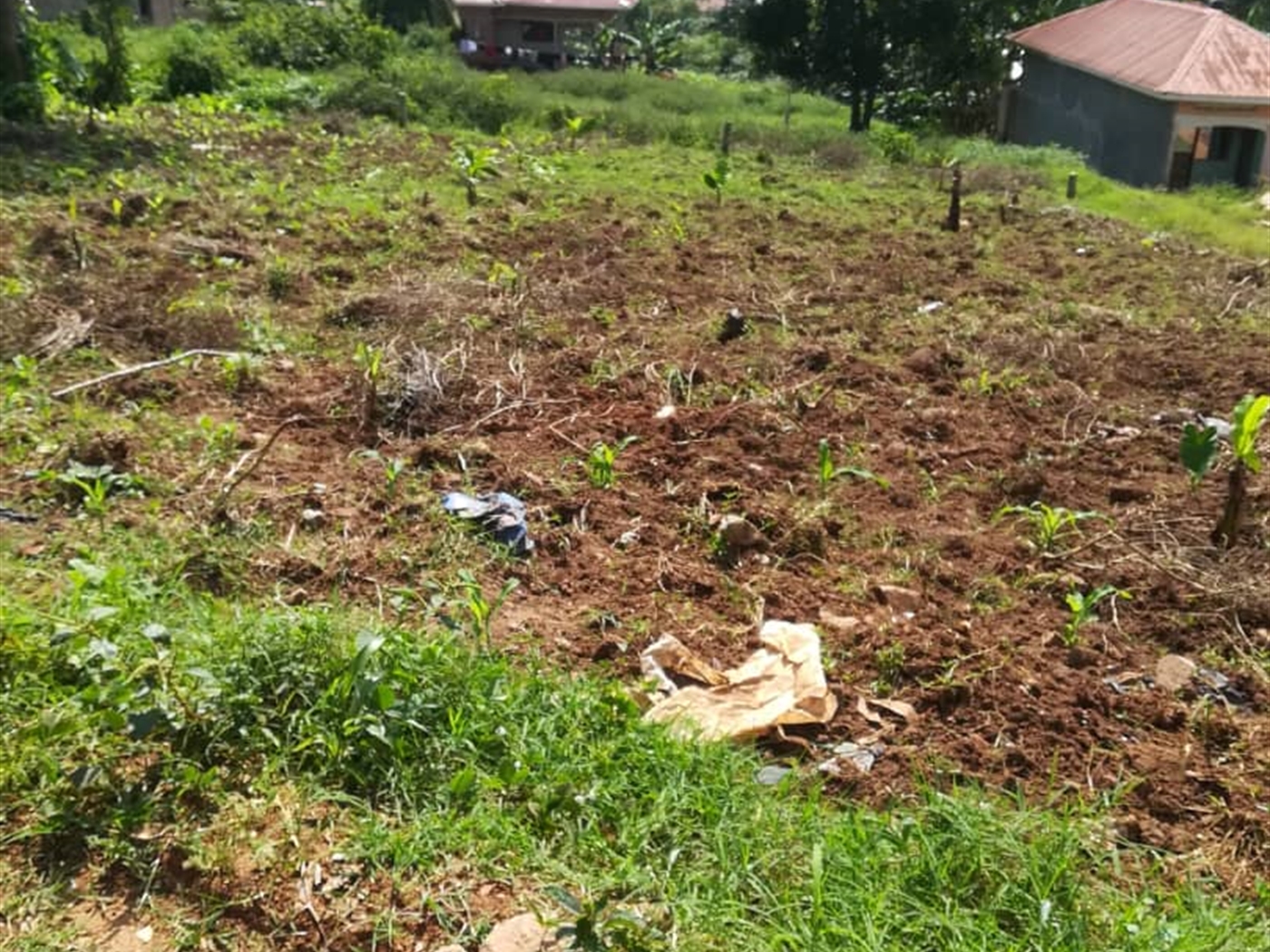 Residential Land for sale in Nsambwe Mukono