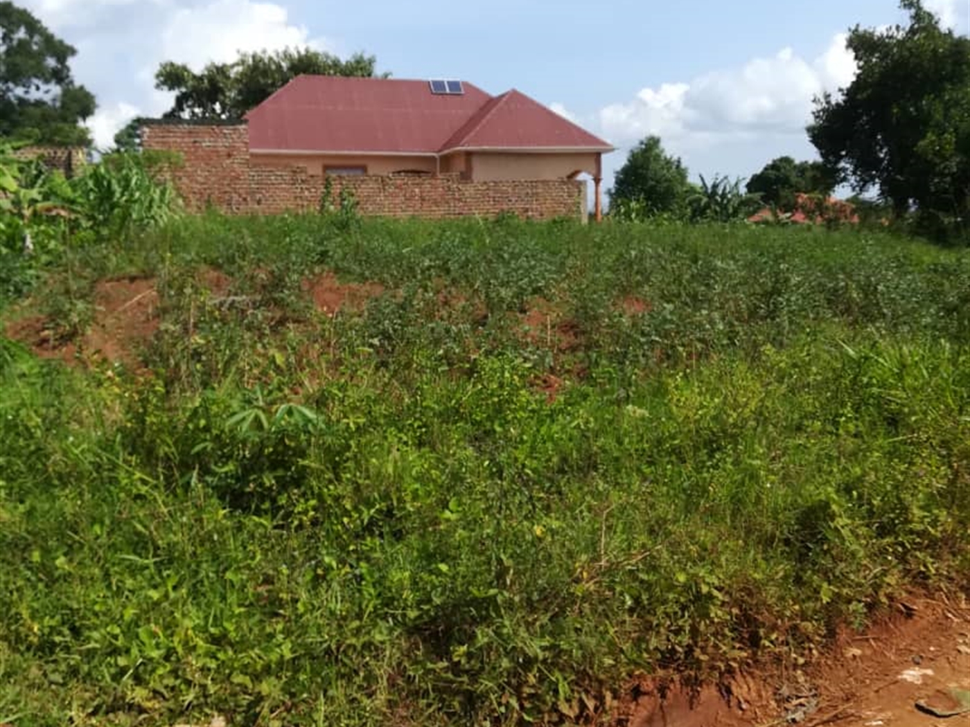 Residential Land for sale in Nsambwe Mukono