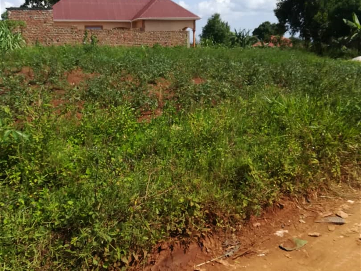 Residential Land for sale in Nsambwe Mukono