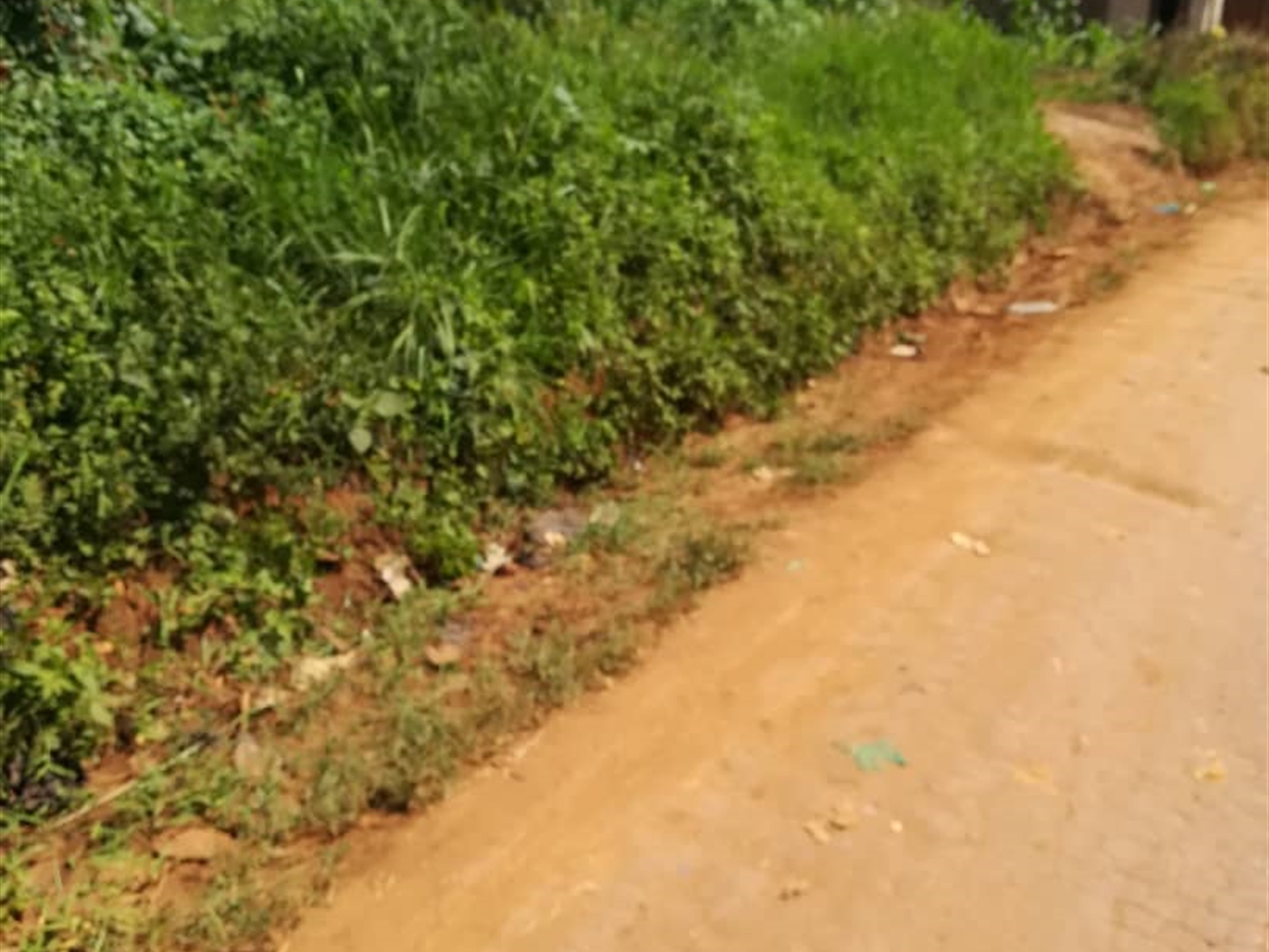 Residential Land for sale in Nsambwe Mukono