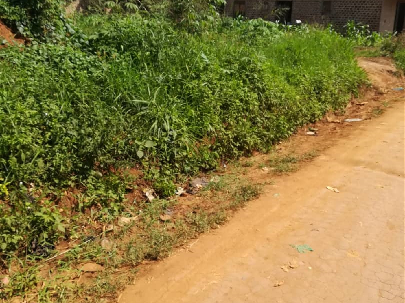 Residential Land for sale in Nsambwe Mukono