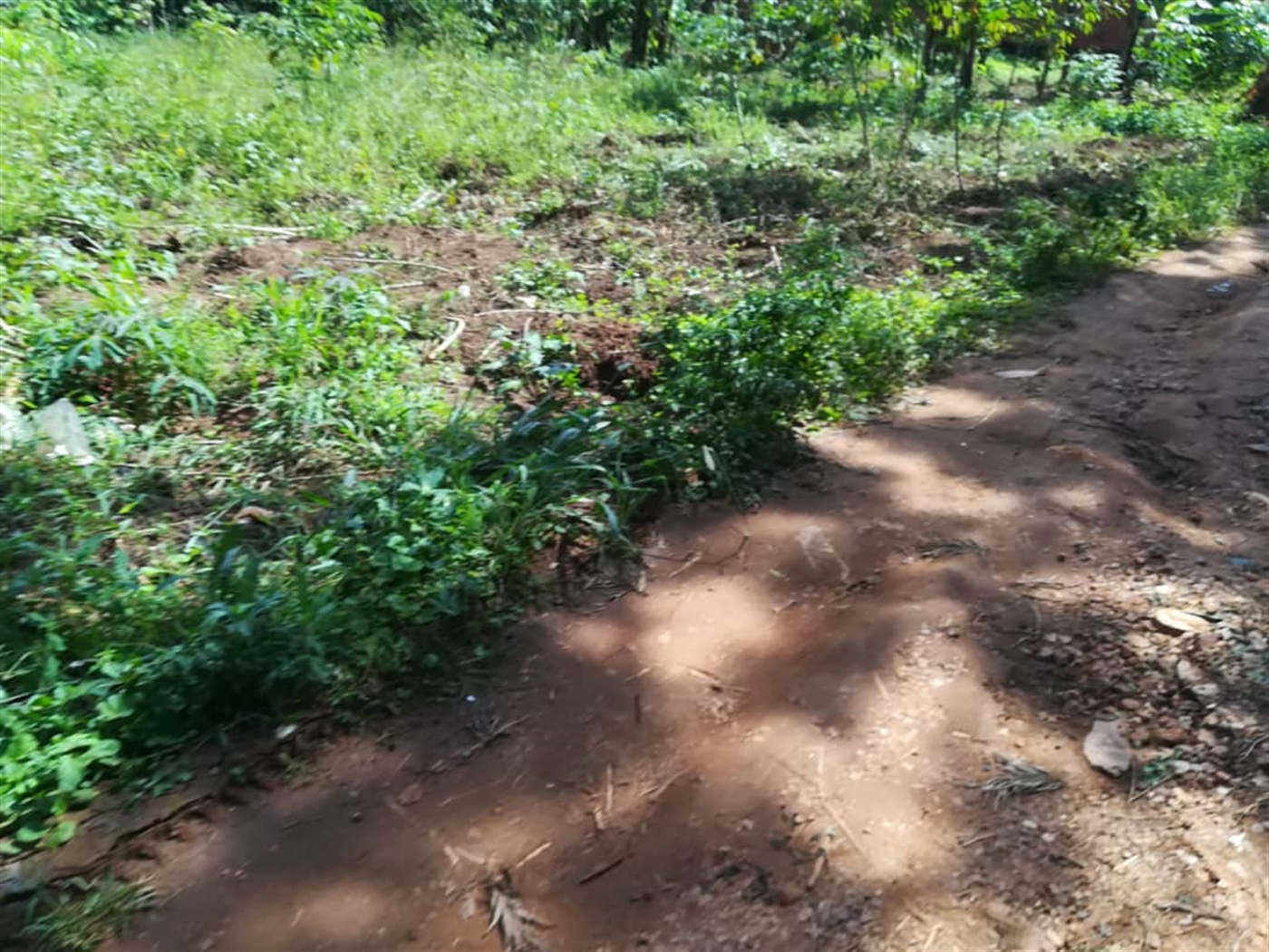 Residential Land for sale in Nsambwe Mukono