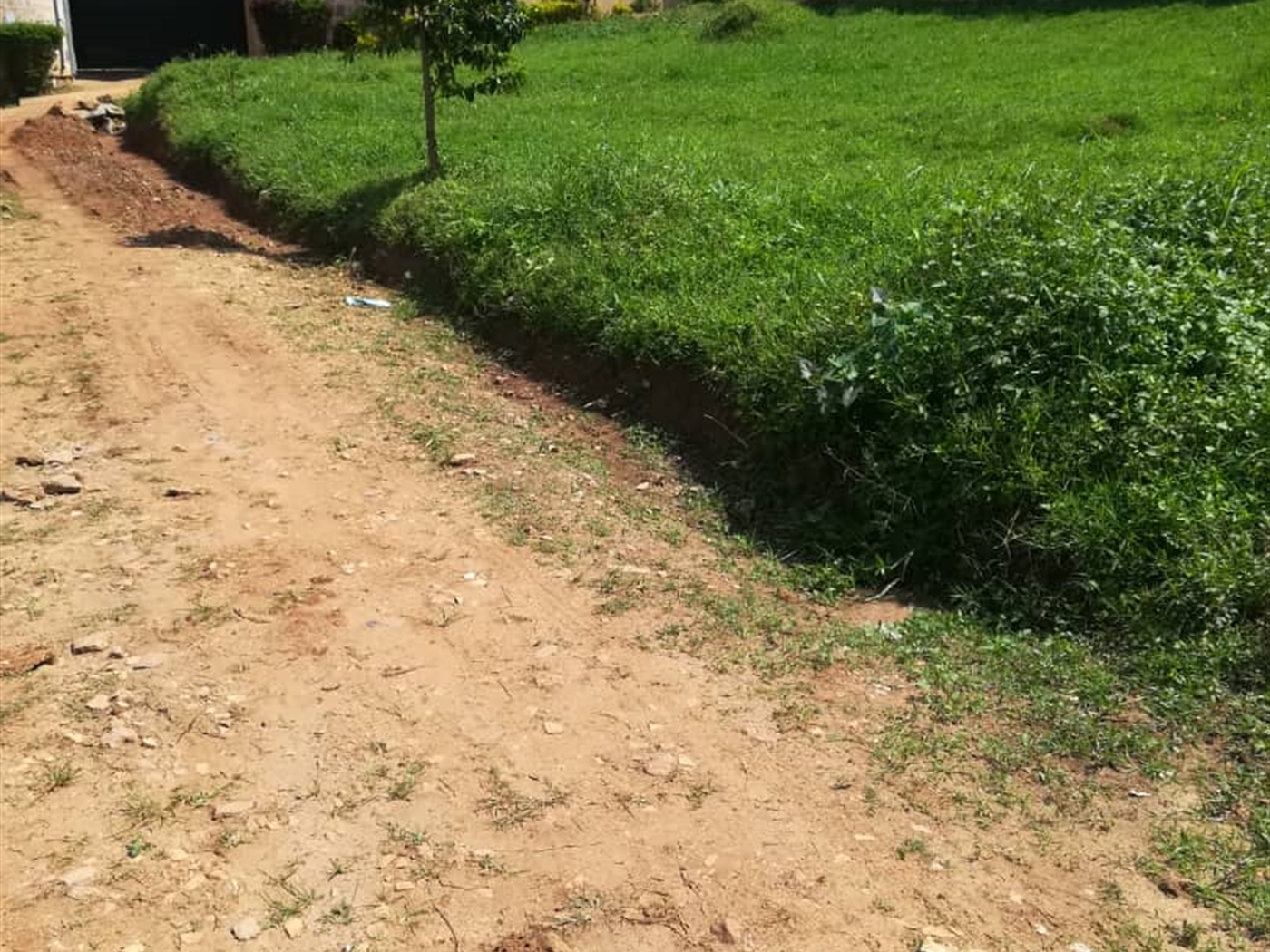 Residential Land for sale in Nsambwe Mukono