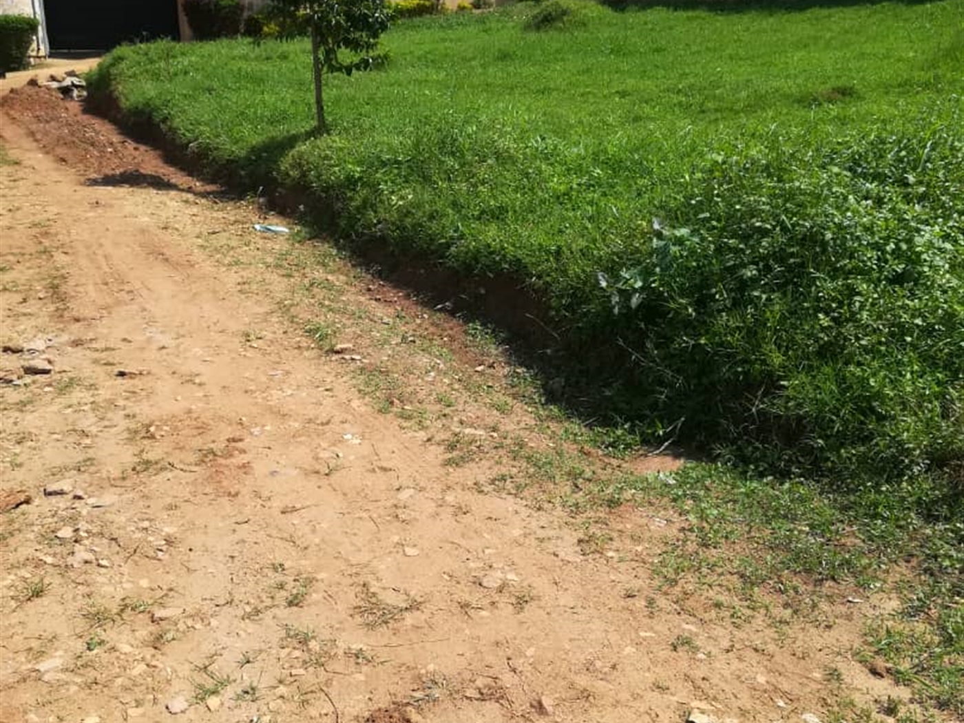 Residential Land for sale in Nsambwe Mukono