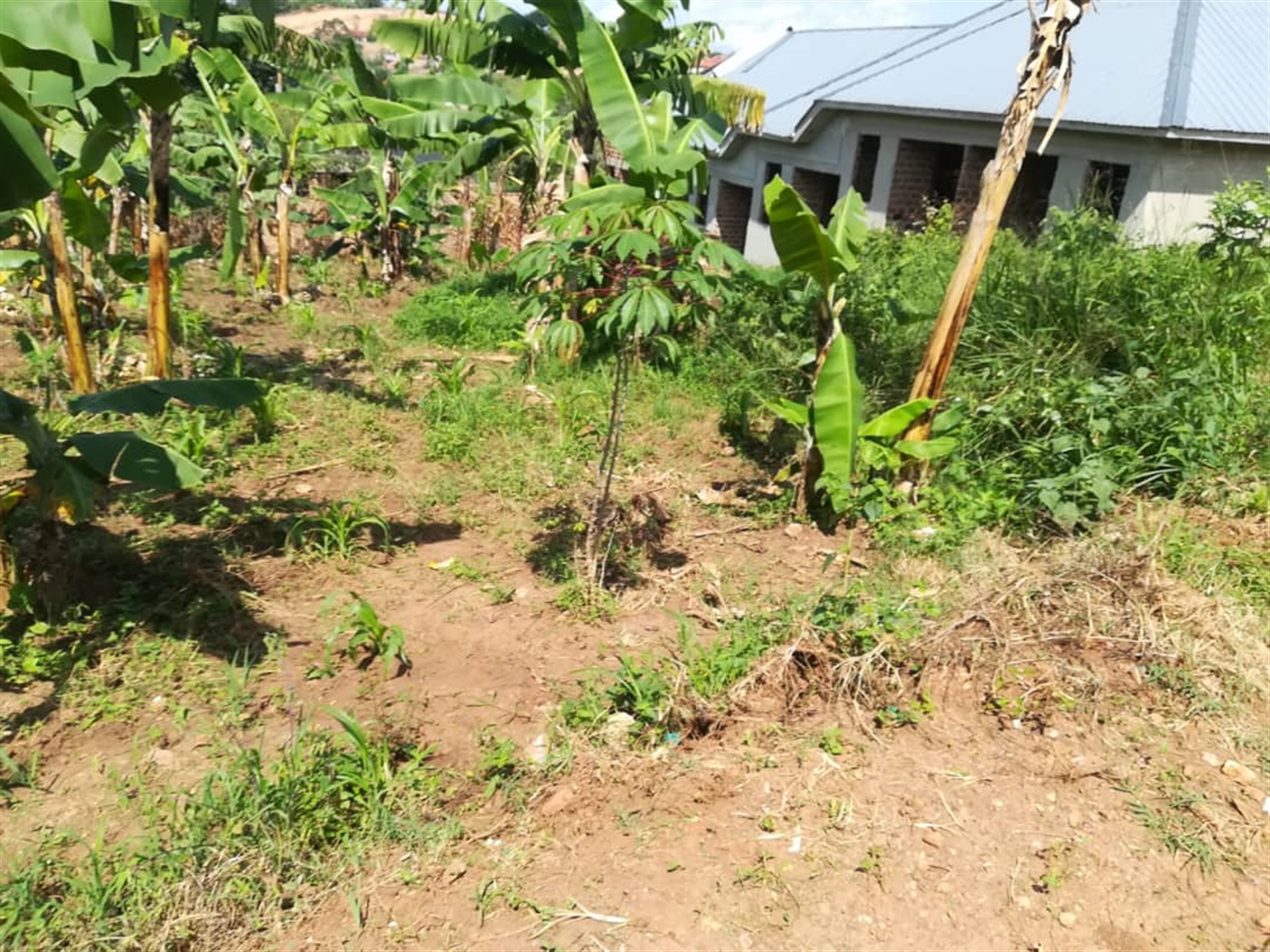 Residential Land for sale in Nsambwe Mukono