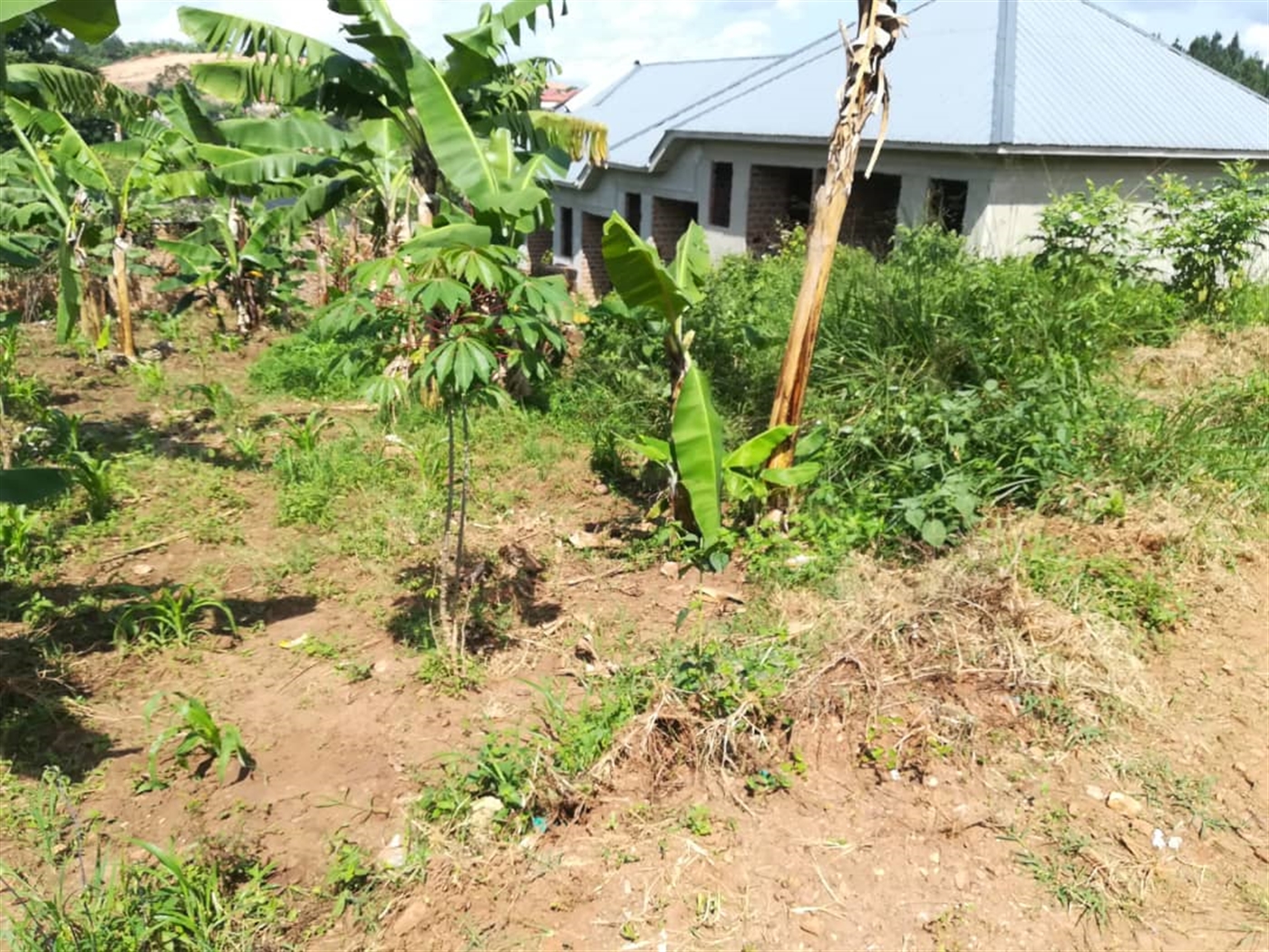 Residential Land for sale in Nsambwe Mukono