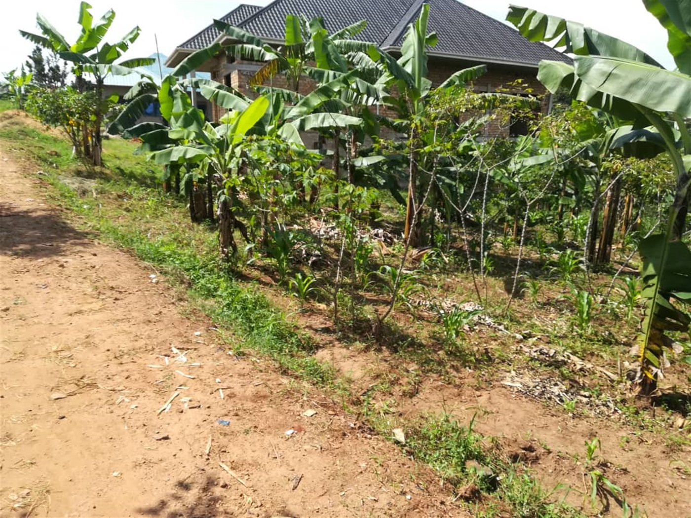 Residential Land for sale in Nsambwe Mukono