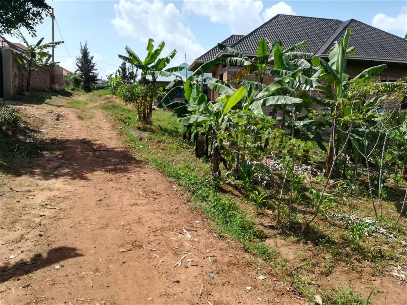 Residential Land for sale in Nsambwe Mukono