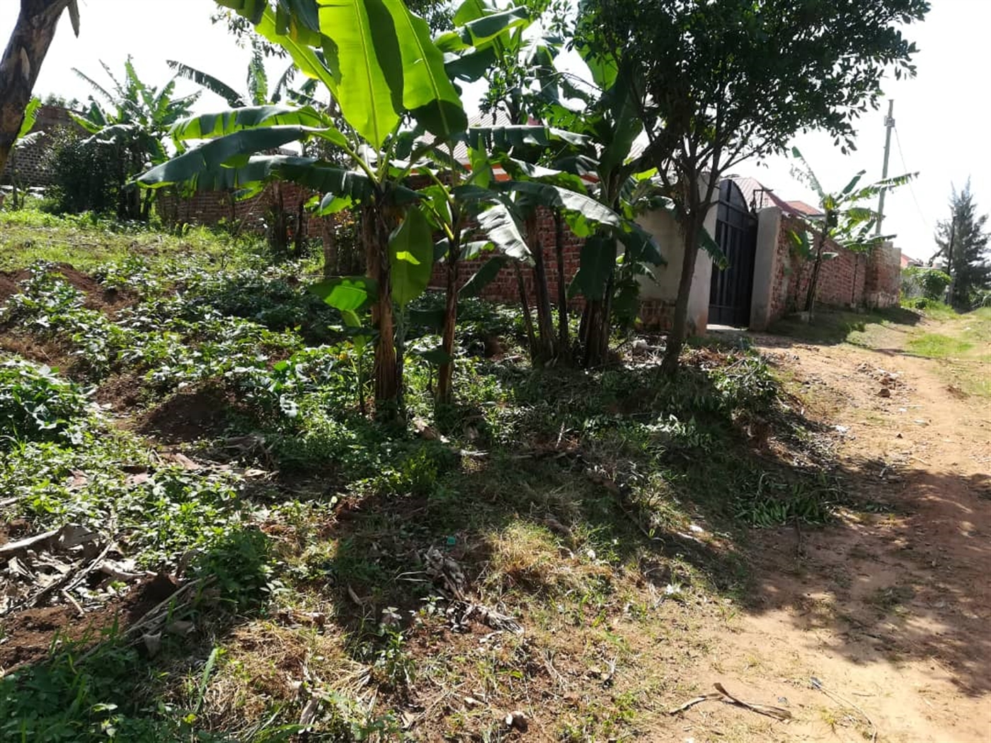 Residential Land for sale in Nsambwe Mukono