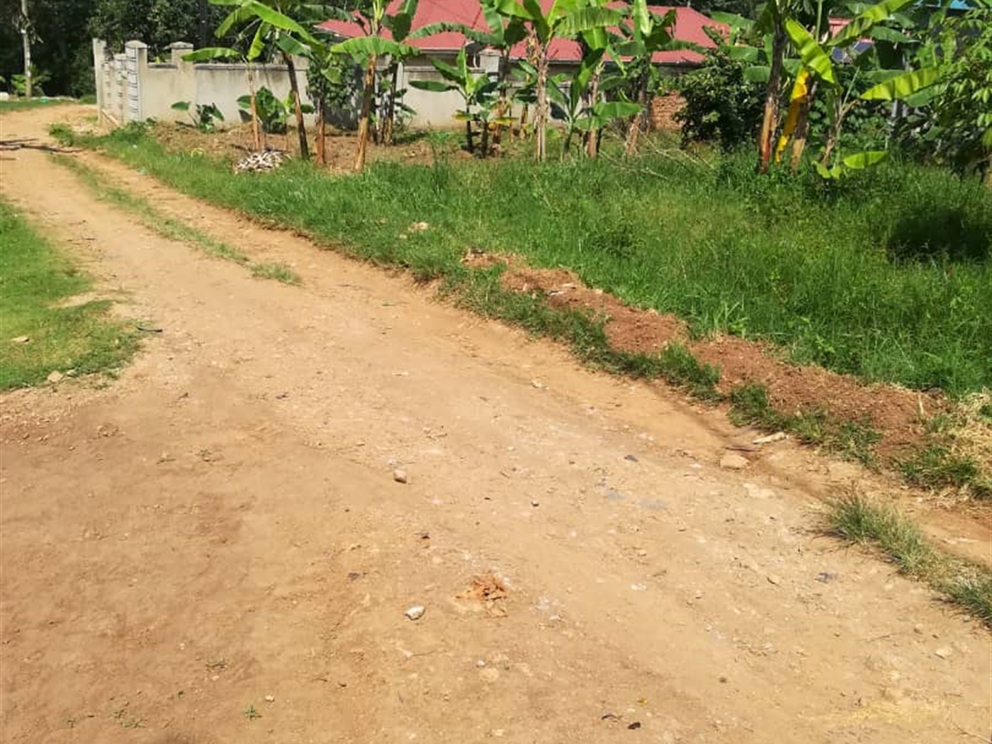 Residential Land for sale in Nsambwe Mukono