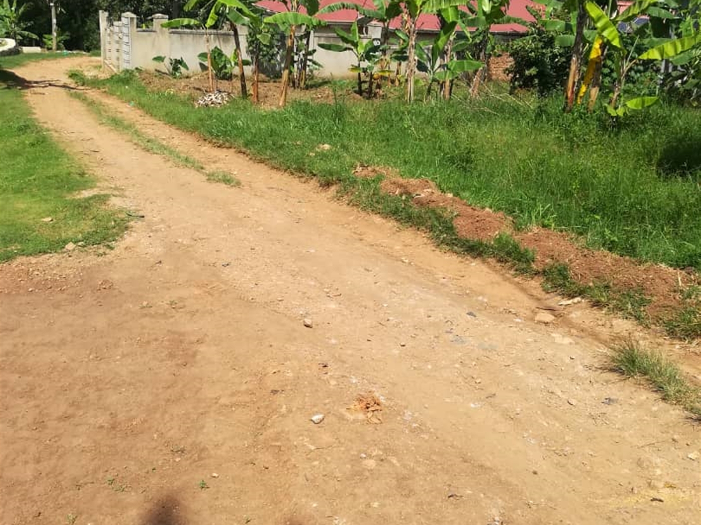 Residential Land for sale in Nsambwe Mukono