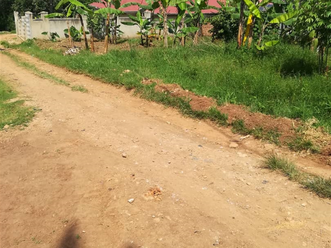 Residential Land for sale in Nsambwe Mukono