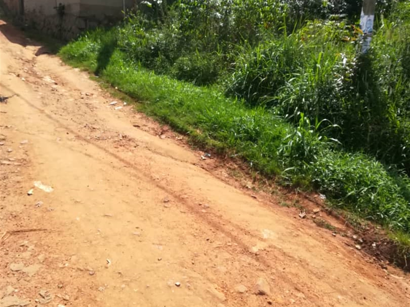 Residential Land for sale in Nsambwe Mukono