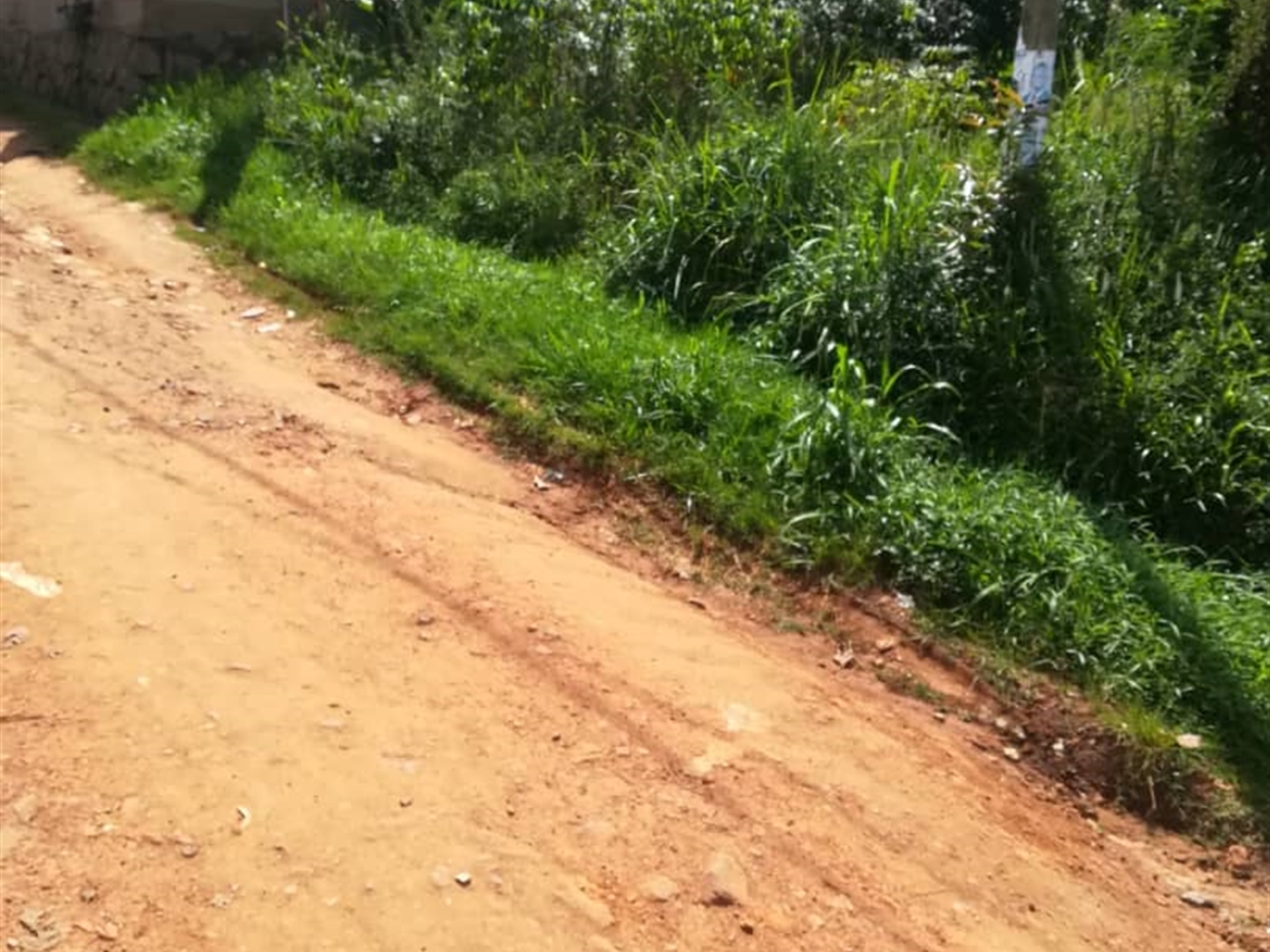 Residential Land for sale in Nsambwe Mukono