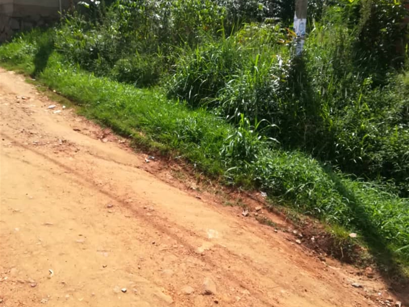 Residential Land for sale in Nsambwe Mukono