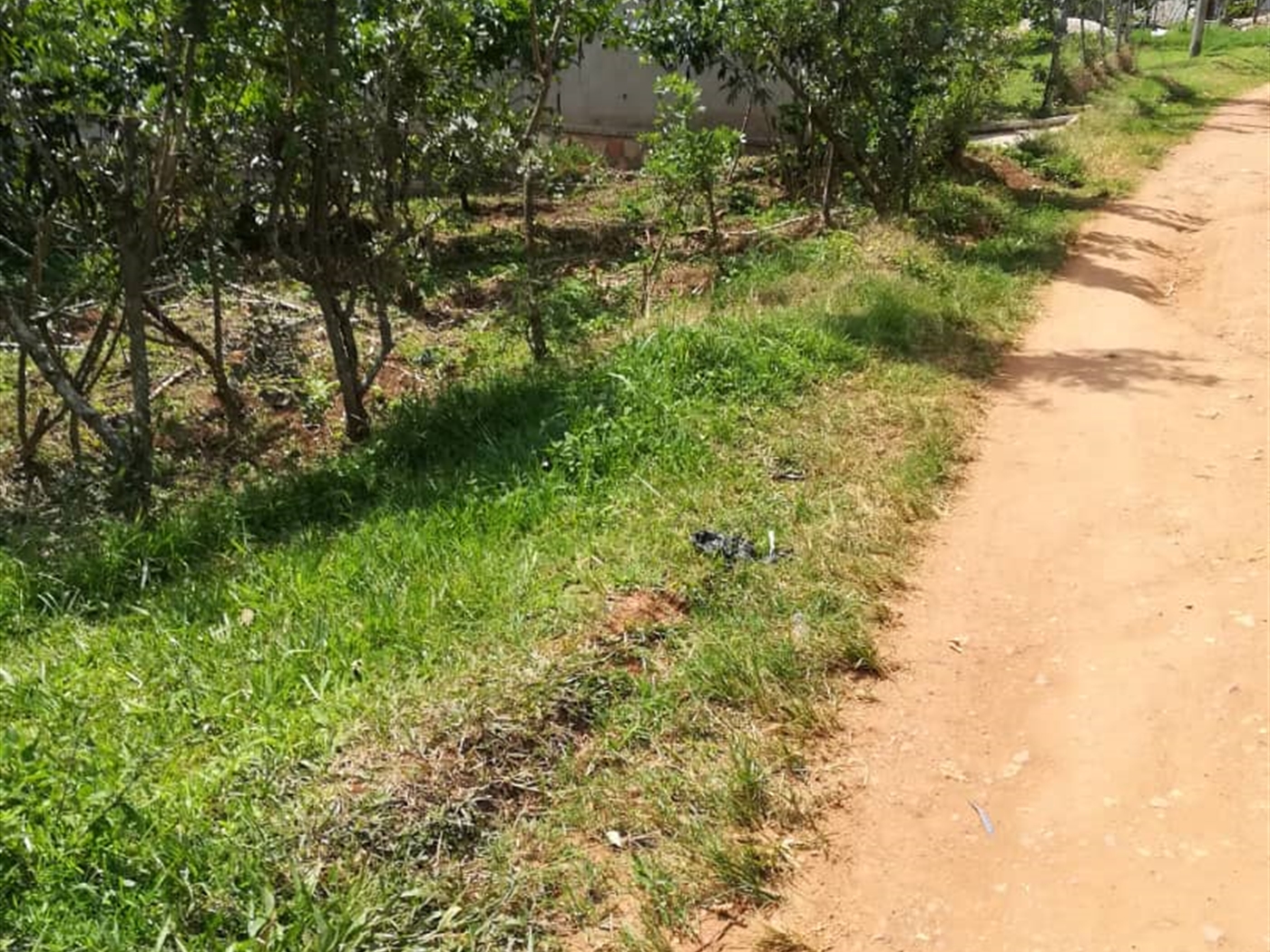 Residential Land for sale in Nsambwe Mukono