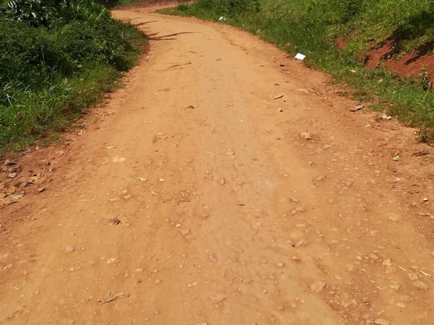 Residential Land for sale in Nsambwe Mukono